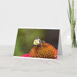 Biene auf Blume, Karte