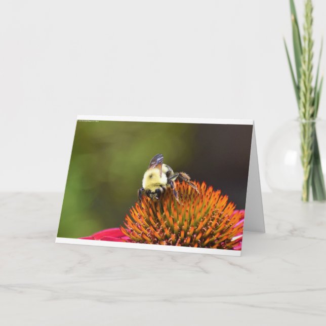 Biene auf Blume, Karte (Vorderseite)