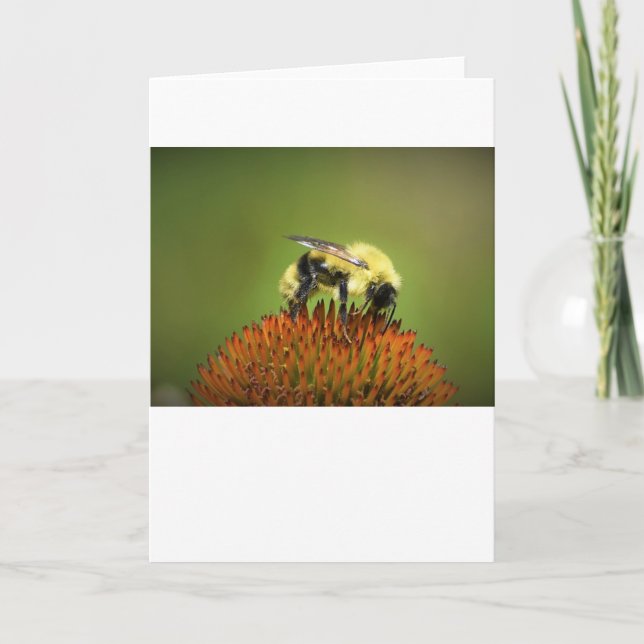 Biene auf Blume, Karte (Vorderseite)