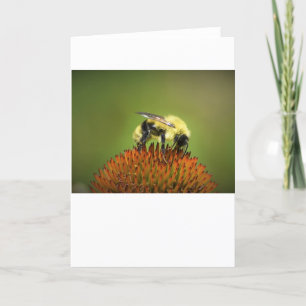 Biene auf Blume, Karte