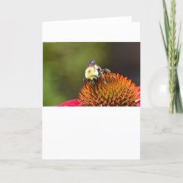 Biene auf Blume, Karte