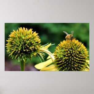Biene auf Blume Poster