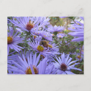 Biene auf Blume Postkarte