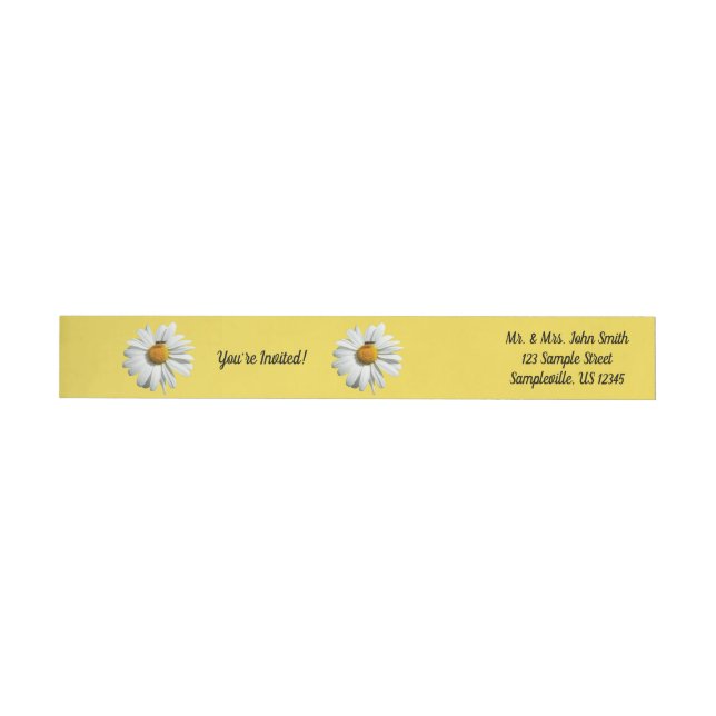 Biene auf Daisy Alaskan Summer Nature Foto (Person)