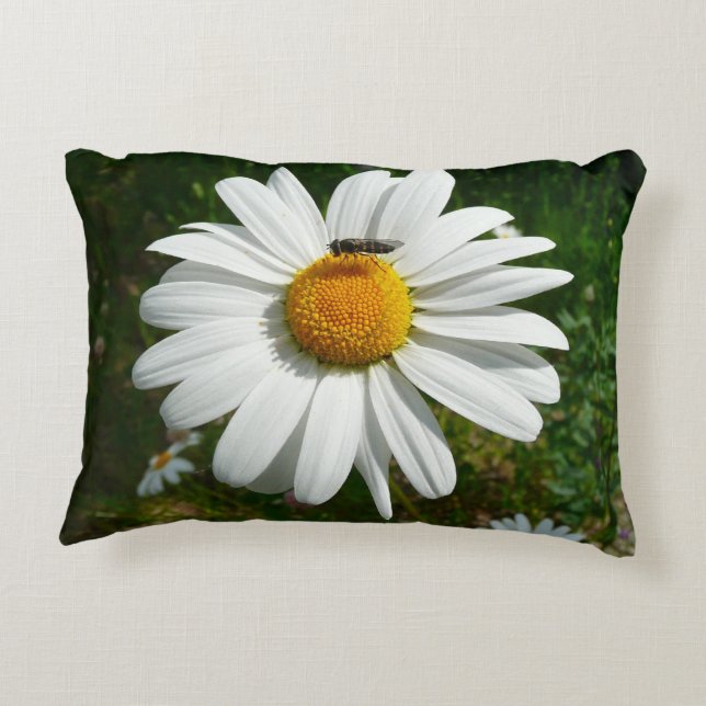 Biene auf Daisy Alaskan Summer Nature Foto Dekokissen (Rückseite)