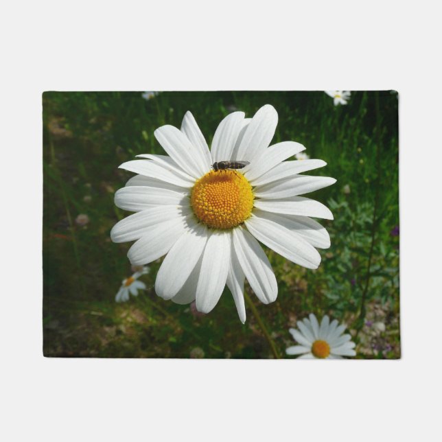 Biene auf Daisy Alaskan Summer Nature Foto Fußmatte (Vorderseite)