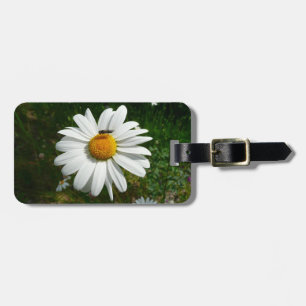 Biene auf Daisy Alaskan Summer Nature Foto Gepäckanhänger