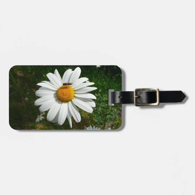 Biene auf Daisy Alaskan Summer Nature Foto Gepäckanhänger (Vorderseite horizontal)