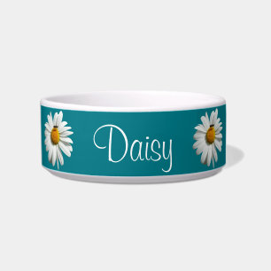 Biene auf Daisy Alaskan Summer Nature Foto Napf