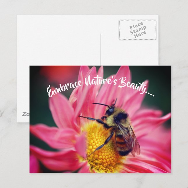 Biene auf Daisy Embrace Natur Inspiration  Postkarte (Vorne/Hinten)