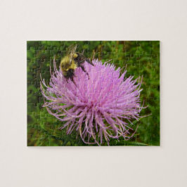 Biene auf der Blume Thistle Nature