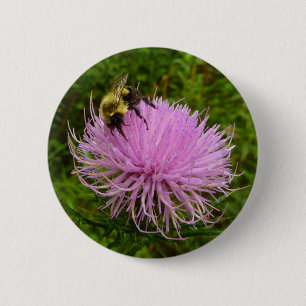 Biene auf der Blume Thistle Nature Button