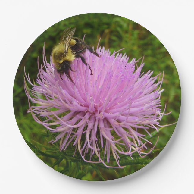 Biene auf der Blume Thistle Nature Pappteller (Vorderseite)