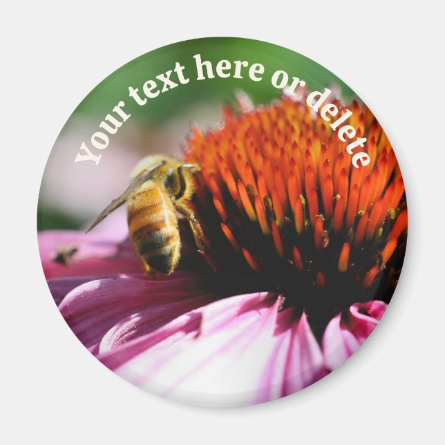 Biene auf Echinacea-Blüte Personalisiert Magnet (Vorne)