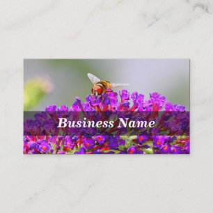 Biene auf einem Schmetterling Bush Visitenkarte
