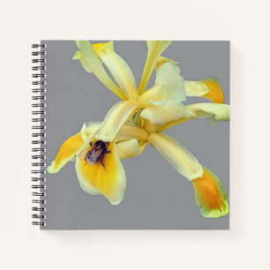 Biene auf einer gelben Blume Notizbuch