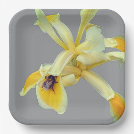 Biene auf einer gelben Blume Pappteller