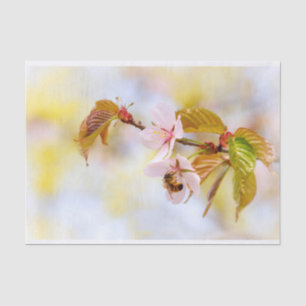 Biene auf einer Kirsche-Blume Seidenpapier