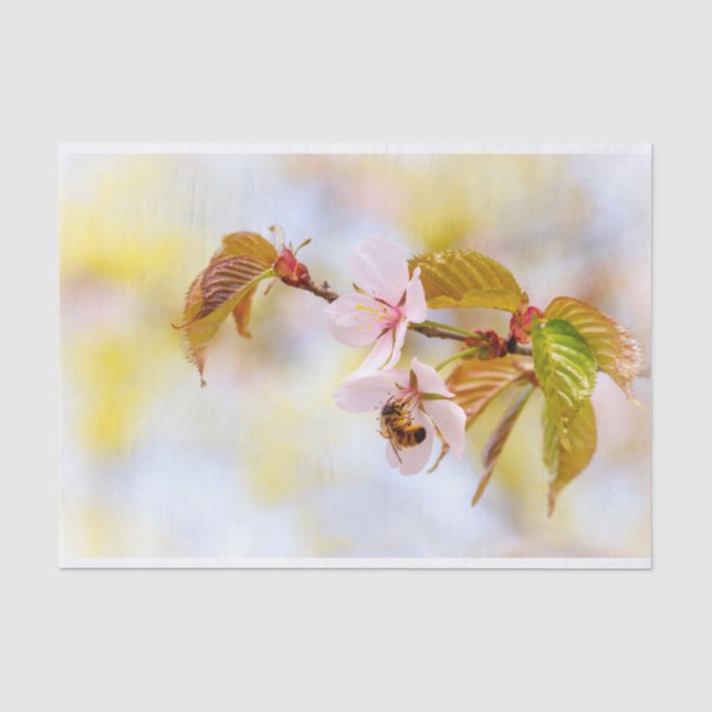 Biene auf einer Kirsche-Blume Seidenpapier (Vorderseite)