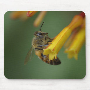 Biene auf Firebush Mousepad