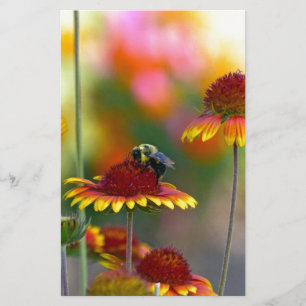 Biene auf Gaillardia Briefpapier
