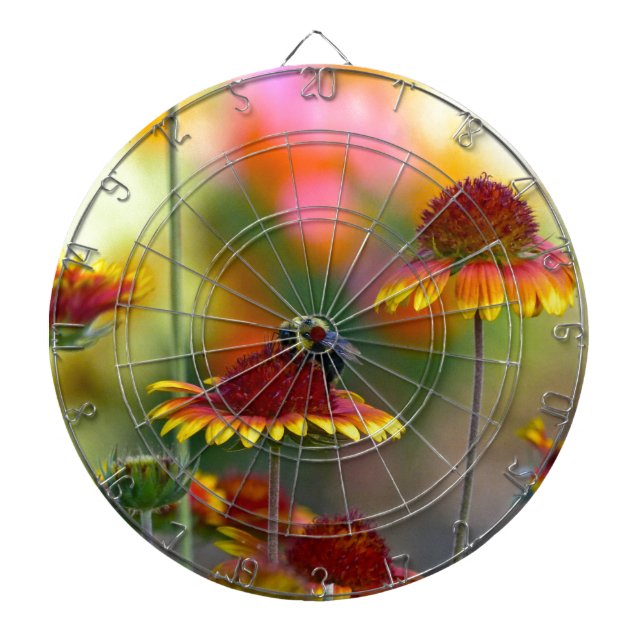 Biene auf Gaillardia Dartscheibe (vorne)