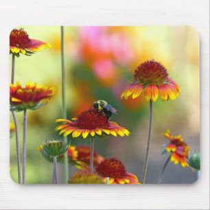 Biene auf Gaillardia Mousepad