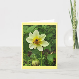 Biene auf gelber Dahlia-Blume Ankündigung