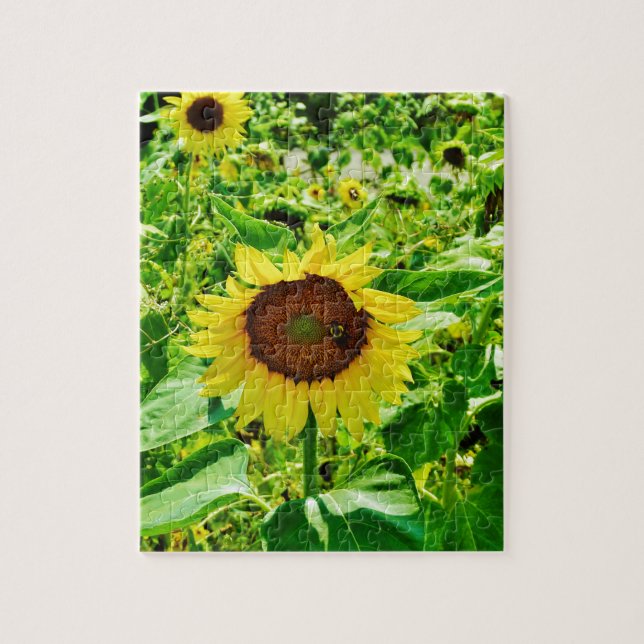 Biene auf gelber Sonnenblume (Vertikal)
