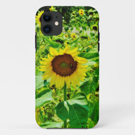 Biene auf gelber Sonnenblume iPhone 11 Hülle