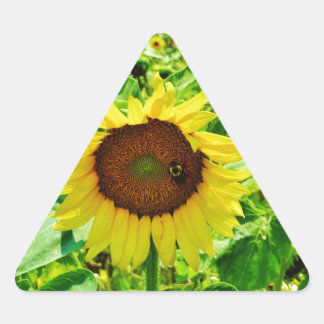 Biene auf gelber Sonnenblume Dreieckiger Aufkleber