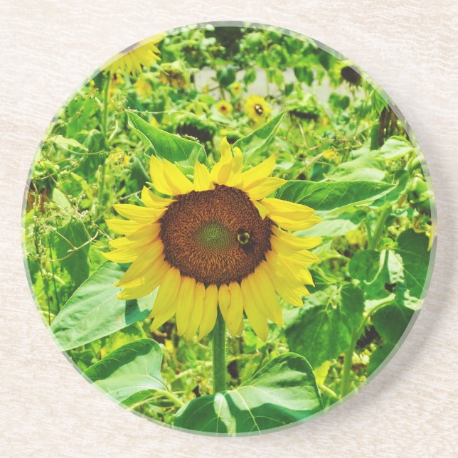 Biene auf gelber Sonnenblume Getränkeuntersetzer (Vorne)