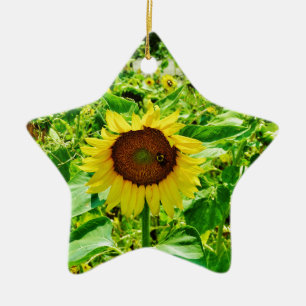 Biene auf gelber Sonnenblume Keramikornament
