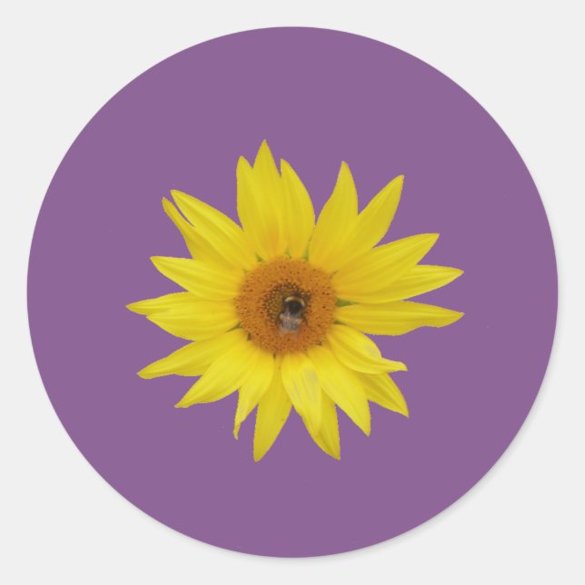 Biene auf gelber Sonnenblume mit lila Hintergrund Runder Aufkleber (Vorderseite)