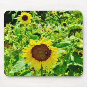 Biene auf gelber Sonnenblume Mousepad