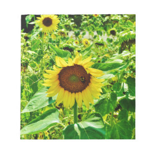 Biene auf gelber Sonnenblume Notizblock