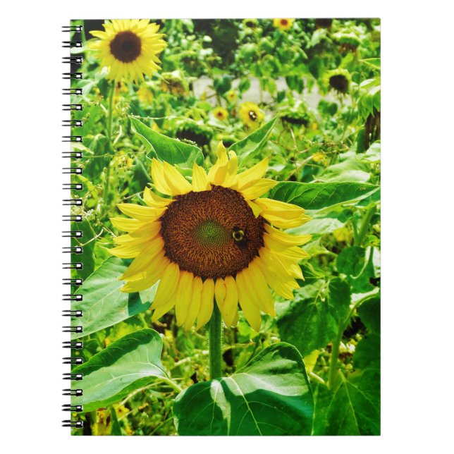 Biene auf gelber Sonnenblume Notizblock (Vorderseite)