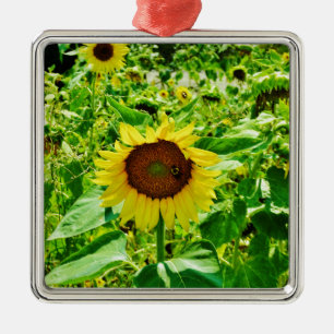 Biene auf gelber Sonnenblume Ornament Aus Metall