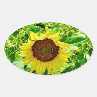 Biene auf gelber Sonnenblume Ovaler Aufkleber