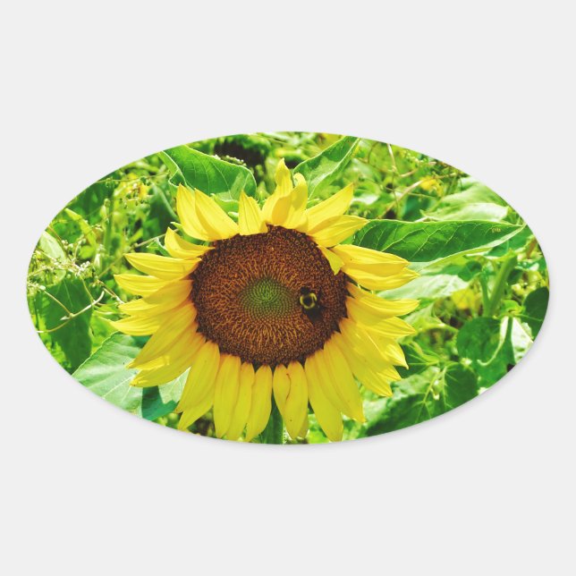 Biene auf gelber Sonnenblume Ovaler Aufkleber (Vorderseite)