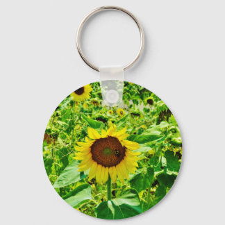 Biene auf gelber Sonnenblume Schlüsselanhänger