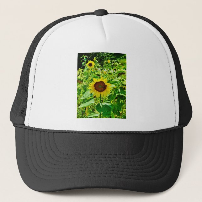 Biene auf gelber Sonnenblume Truckerkappe (Vorderseite)