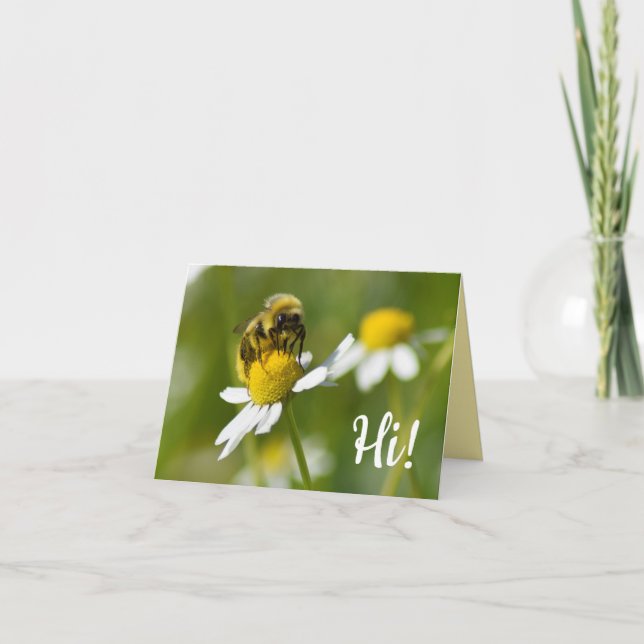 Biene auf Kamillen-Blume hallo! Leere Karte (Vorderseite)