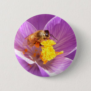 Biene auf Krokus ~ Knopf Button