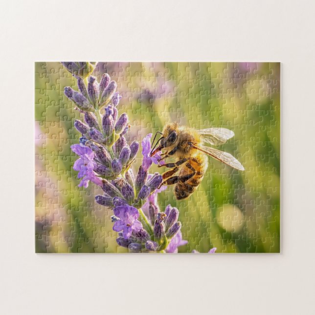 Biene auf Lavendel (Horizontal)