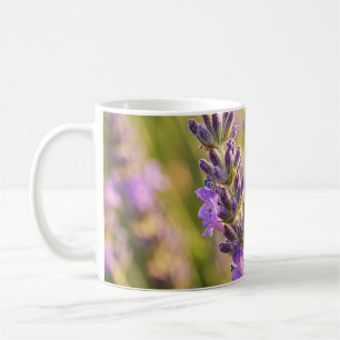 Biene auf Lavendel Kaffeetasse