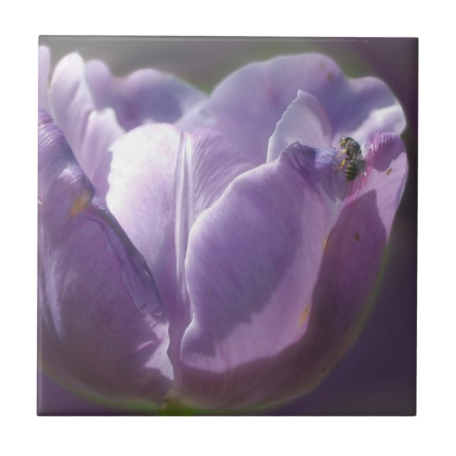 Biene auf Lavendel Tulip Blume Natur Fliese (Vorderseite)