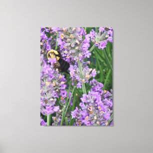 Biene auf Lavendelblüte Leinwanddruck