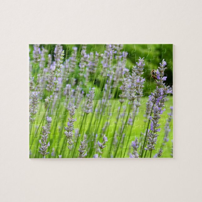 Biene auf Lavender Summer Floral (Horizontal)