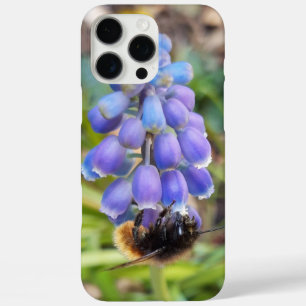 Biene auf Muscari Armeniacum, TraubenHyakinth iPhone 16 Pro Max Hülle